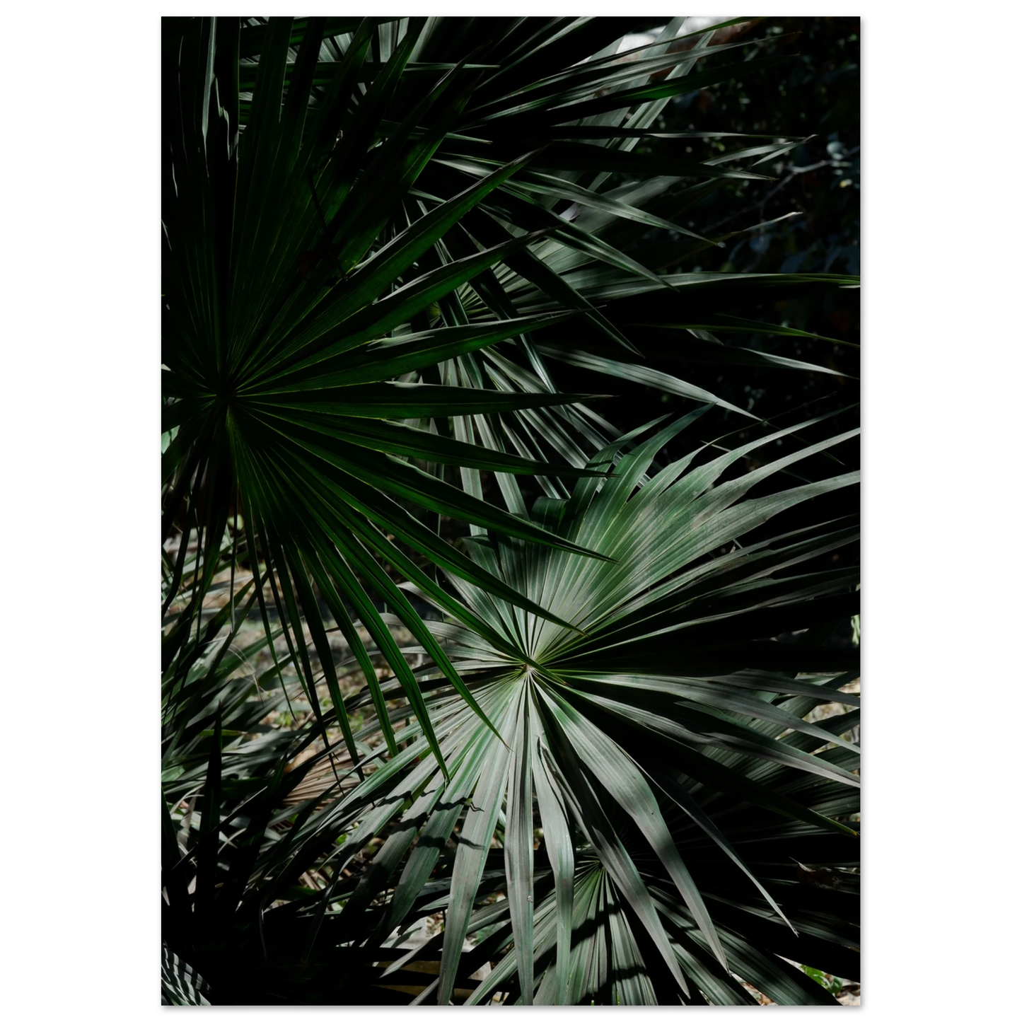 ab1fa54a-c007-47d9-a149-0b4344589fb4